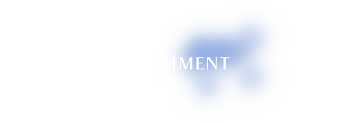 COMMENT